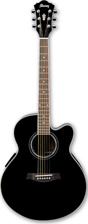 Ibanez AEL10E-BK Black