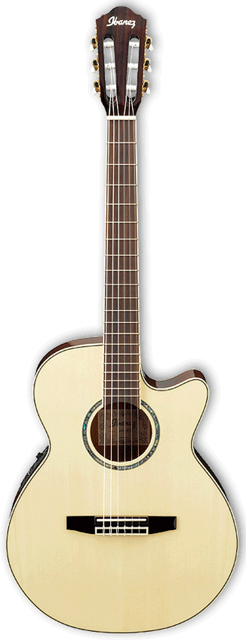 Ibanez AEG10NE-NT Natural