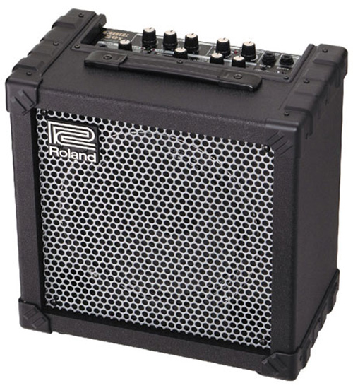 Roland Cube-30X