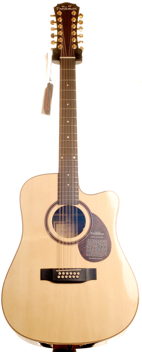 Freshman FA400DCE 12 String with Schertler