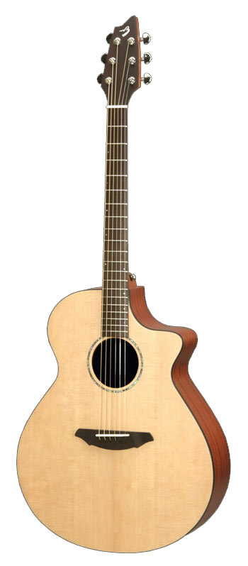 breedlove aj250