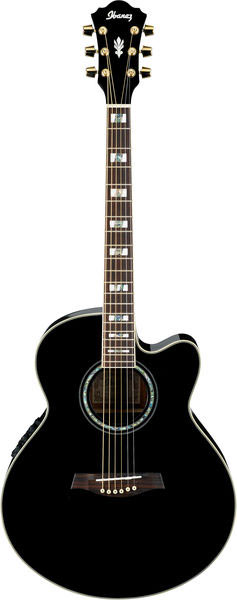 Ibanez AEL30SE-BK Electro Acoustic with Tuner Black | guitarguitar