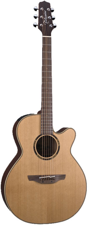 Takamine ETN40C