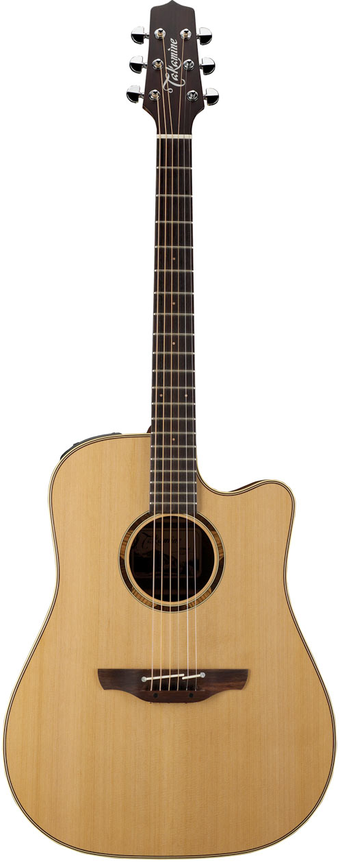 Takamine ETN10C