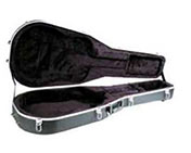 Peavey Molded Case Acoustic
