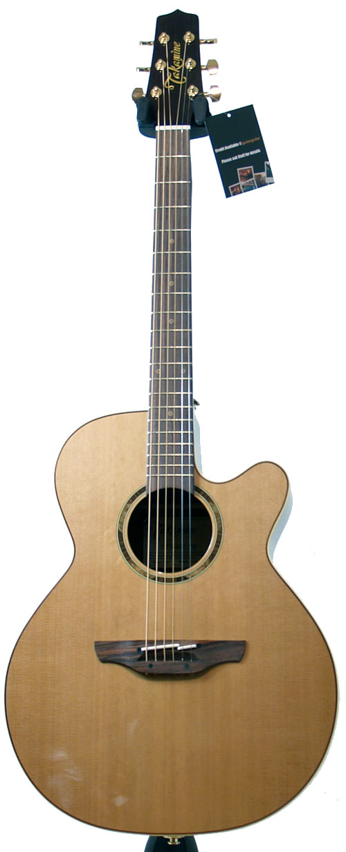 Takamine ETN40C PS