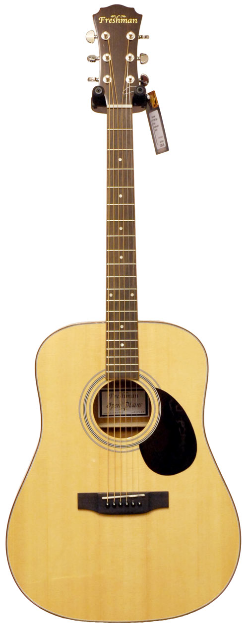 Freshman F0P1DN Open Plains Dreadnought Natural