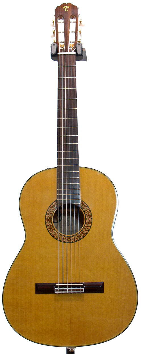 takamine flamenco guitar