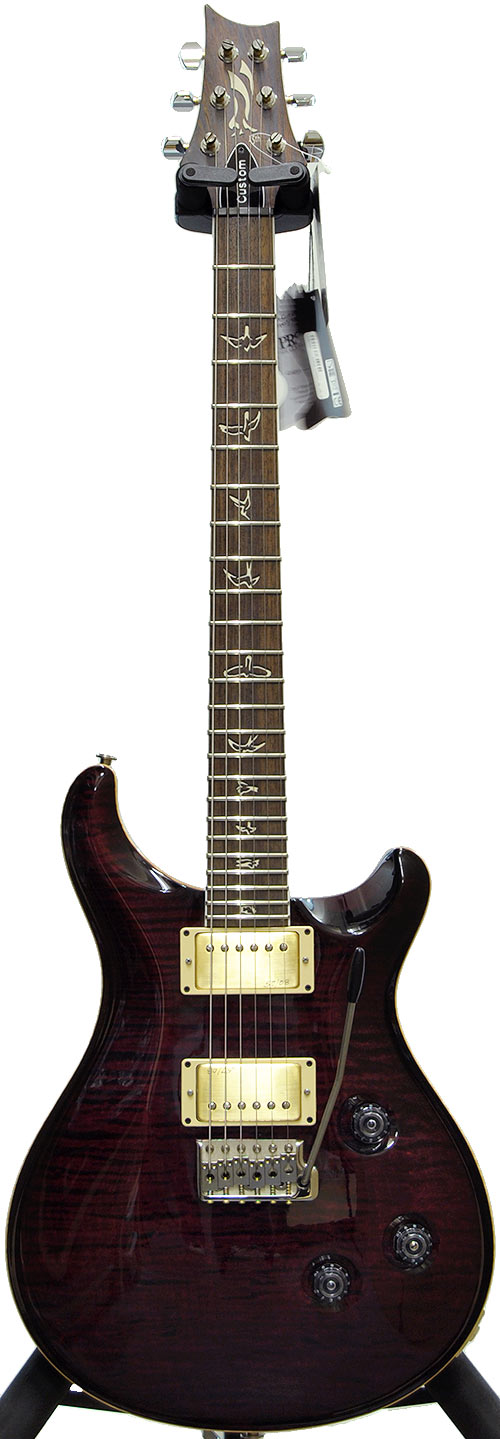 PRS 25th Anniversary Custom 24 10 Top Birds Angry Larry