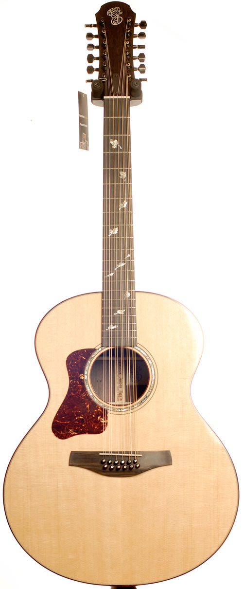 Patrick James Eggle Saluda 12 String LH