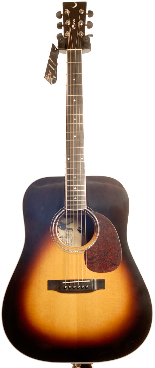 Moon Bryan Adams Signature Sunburst Fishman Ellipse