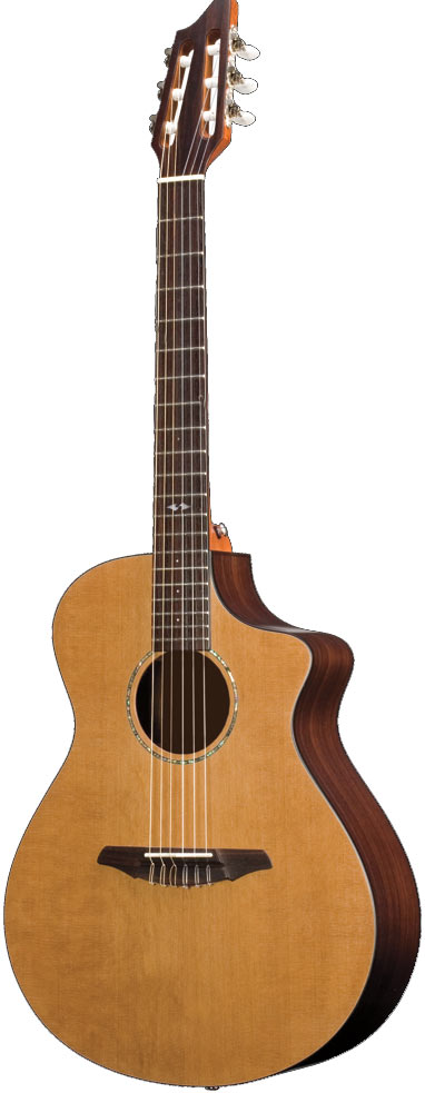 Breedlove Passport N250/COe