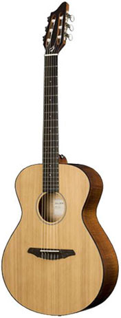 Breedlove Passport N200/CMP