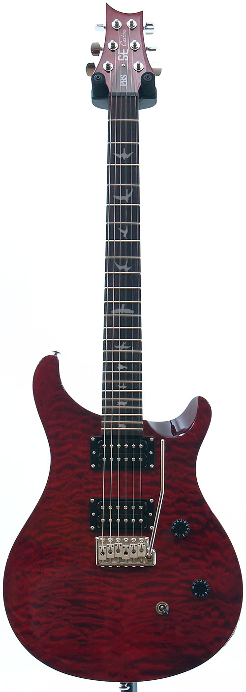 PRS 25th Anniversary Custom 24 SE - 楽器/器材