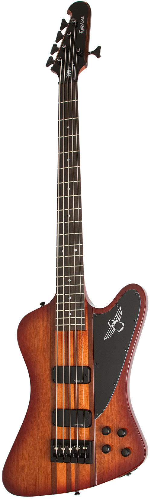 Epiphone thunderbird store 5 string bass