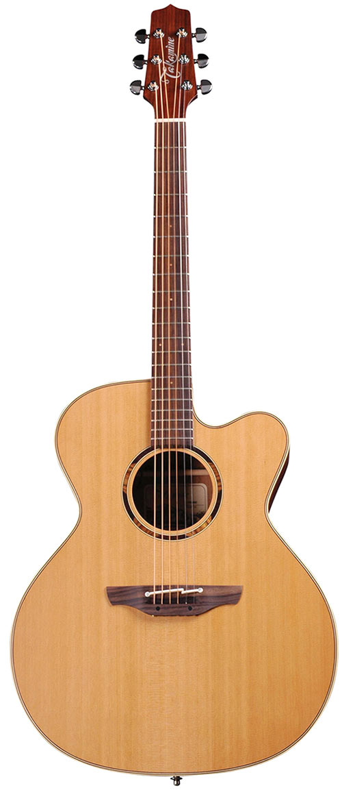 Takamine ETN20C