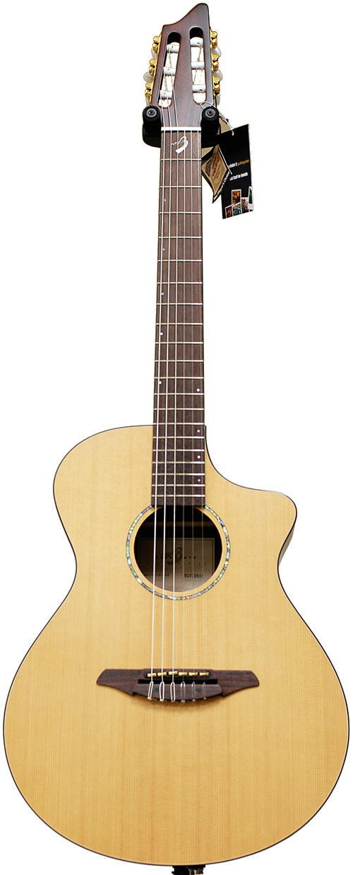 Breedlove Atlas AN250CR Synergy Nylon String Roland Ready