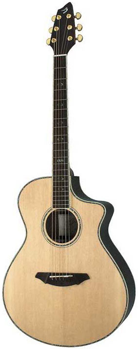 Breedlove Atlas AC25SR Plus