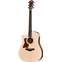 Taylor 210ce LH Gloss Top Front View