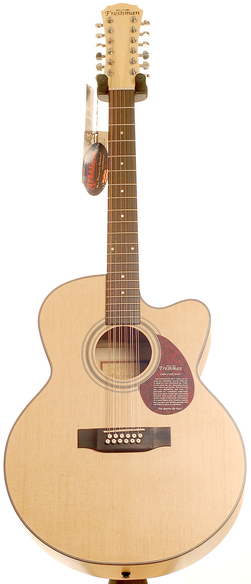 Freshman FA300JEM 12 String