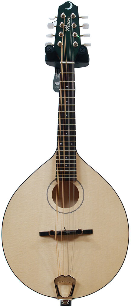 Moon Mandolin with Fishman pickup