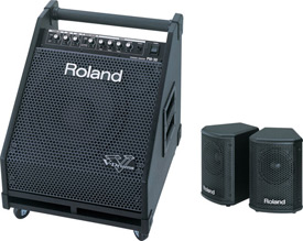Roland PM-30 Monitor
