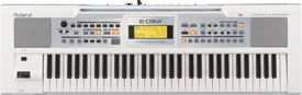 Roland E-09W White Arranger Keyboard