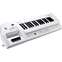 Roland AX-09 Lucina Shoulder Synthesizer Front View