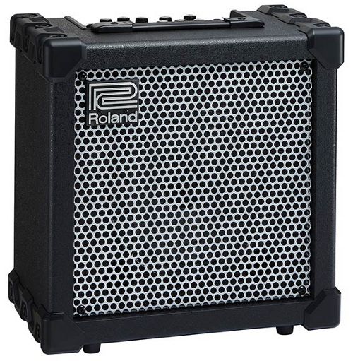 Roland Cube-20XL
