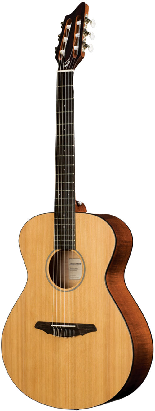 Breedlove Passport N200/CMP Stained Maple