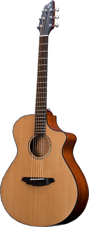 Breedlove Solo C350/CMe