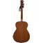 Ibanez AC240 OPN Acoustic Natural Back View