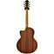 Lowden F35C Co/RED Cocobolo/Redwood Back View