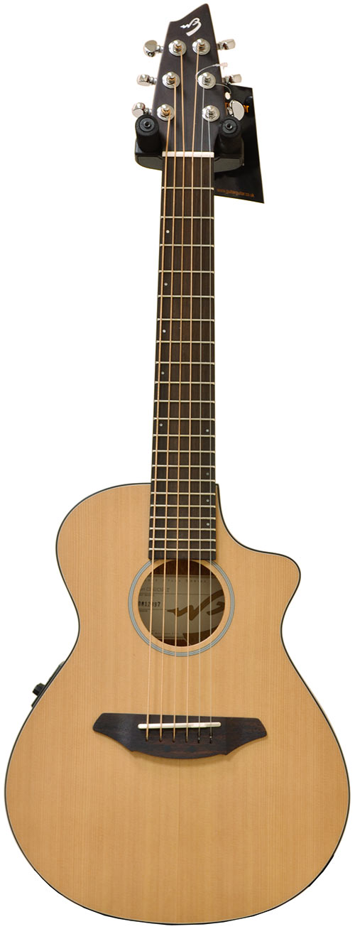 Breedlove C250/CMe Travel Size