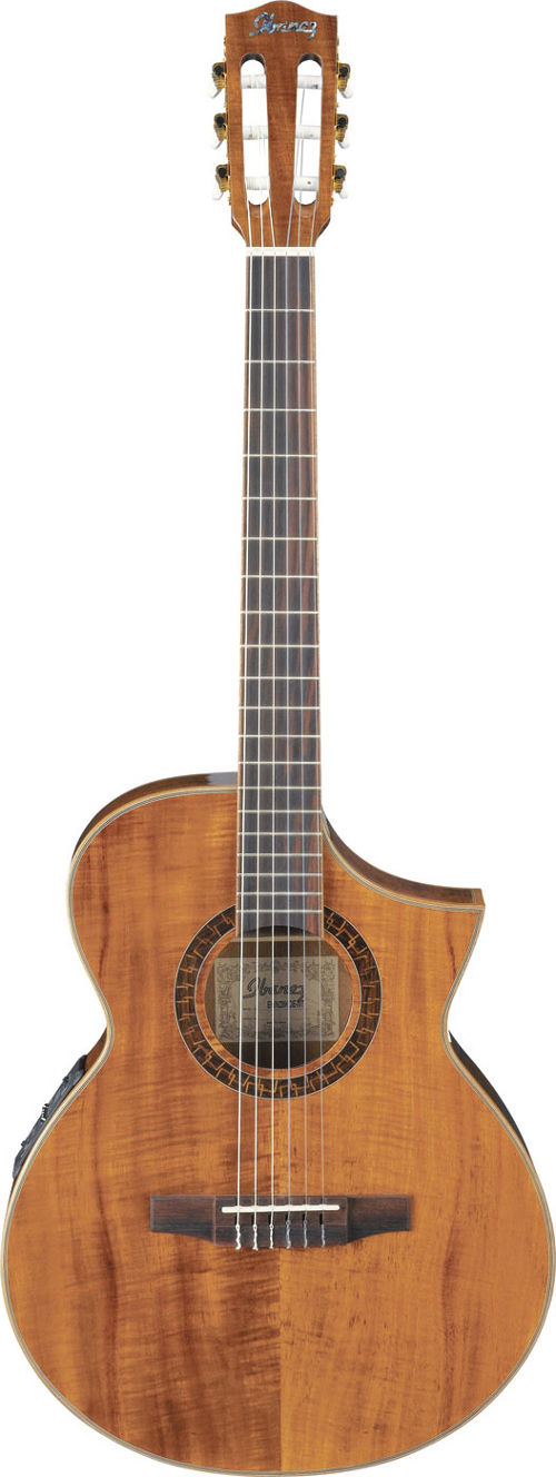 Ibanez EWN28KOE-NT Electro Acoustic Nylon String
