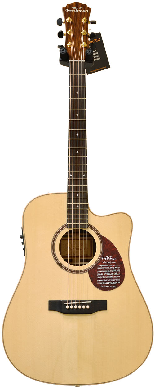 Freshman FA400DCE with Fishman