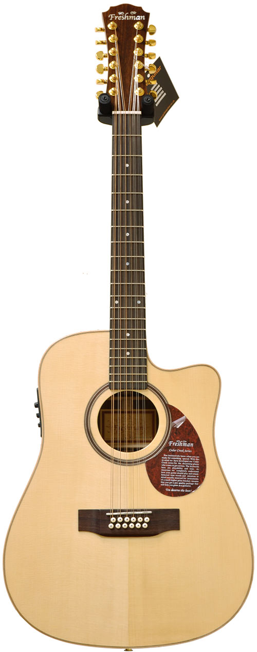 Freshman FA400DCE12 12 String with Fishman