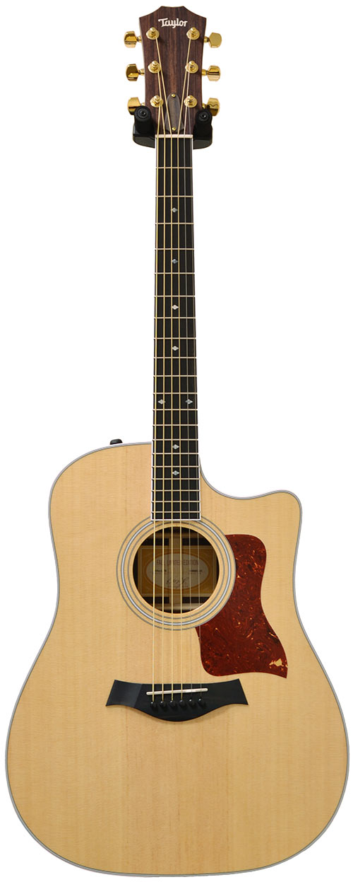 Taylor 2011 Fall Limited 410ce-LTD Indian Rosewood