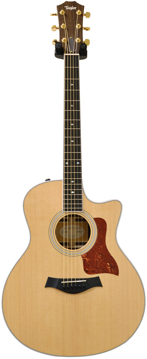 Taylor 2011 Fall Limited 416ce-LTD Indian Rosewood