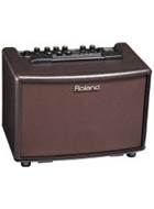 Roland AC-33RW Acoustic Combo