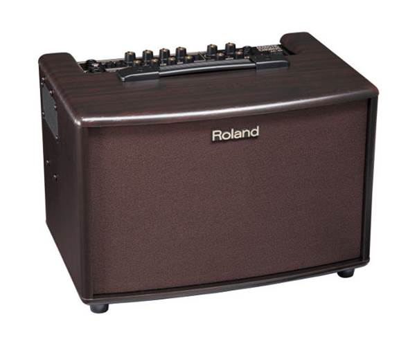 Roland AC-60RW Acoustic Combo