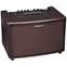 Roland AC-60RW Acoustic Combo Front View