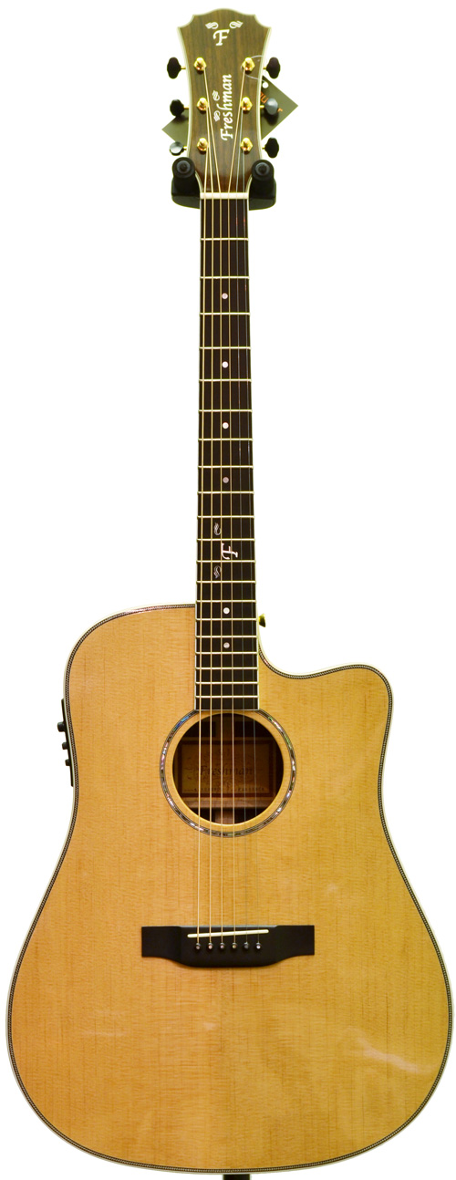 Freshman FA500DCE Electro Acoustic