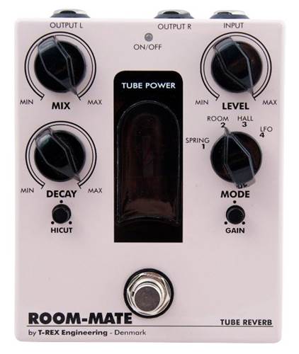 T-Rex Room-Mate