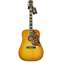 Gibson Hummingbird Standard Front View