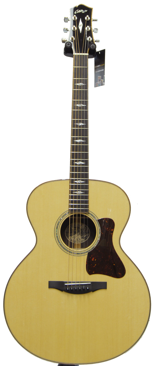 Collings SJ Indian Rosewood w/Koa Binding