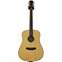 Finlayson D-1G Dreadnought Mahogany/Spruce (Gloss Top) Front View