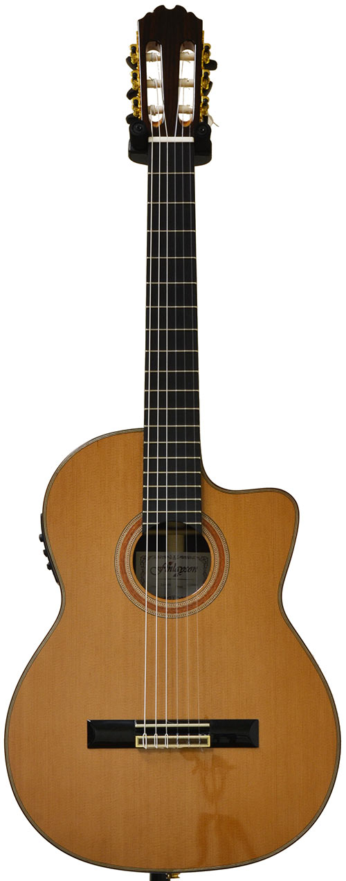 Finlayson CLA-50CEG Classical Rosewood/Cedar with Fishman Presys 301 (Gloss Top)