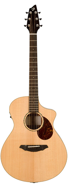 Breedlove passport plus deals concert