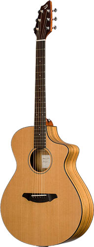 Breedlove Passport C250/COe